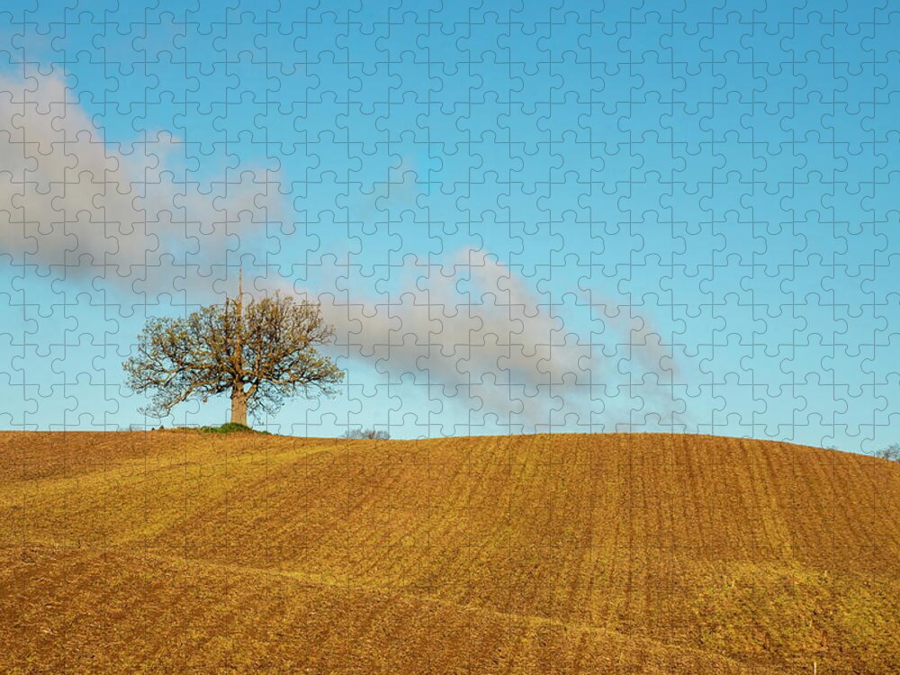 Fields Jigsaw Puzzle featuring the photograph The Unicorn Tree by Regina Muscarella