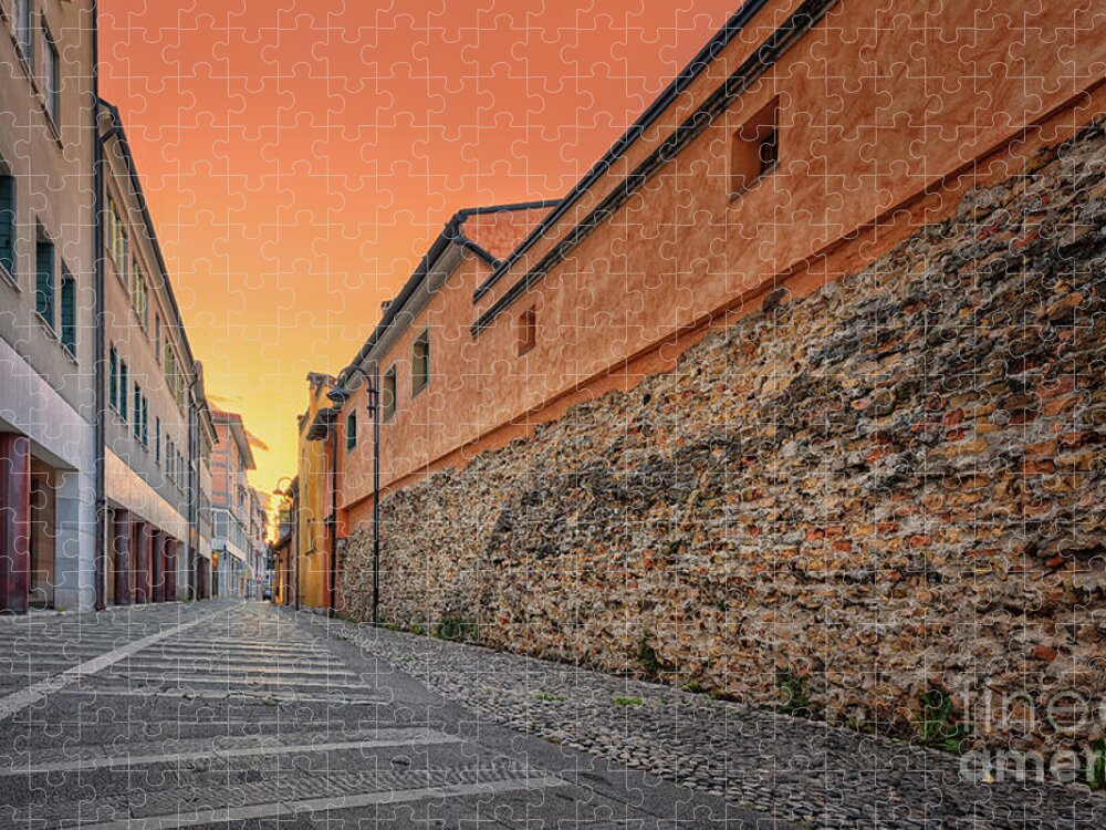 Oderzo Jigsaw Puzzle featuring the photograph The wall by The P