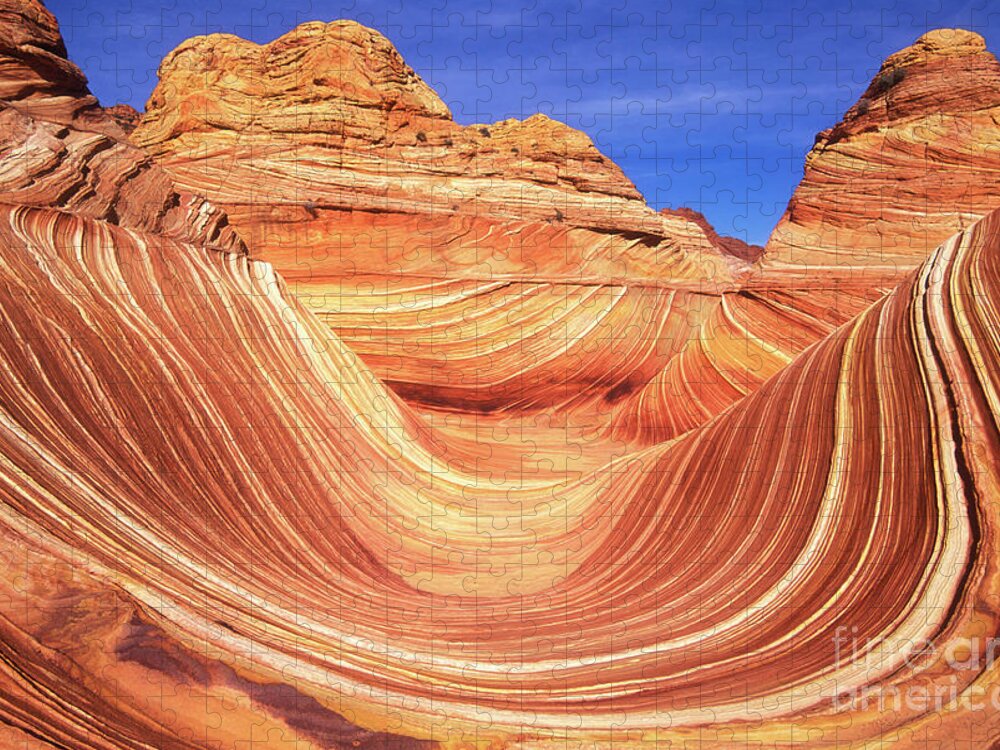 The Wave Jigsaw Puzzle featuring the photograph The Wave, Coyote Butte, Arizona, USA by Neale And Judith Clark