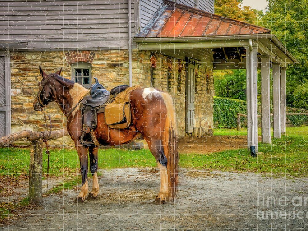 Horse Jigsaw Puzzle featuring the photograph There's My Ride... by Shelia Hunt