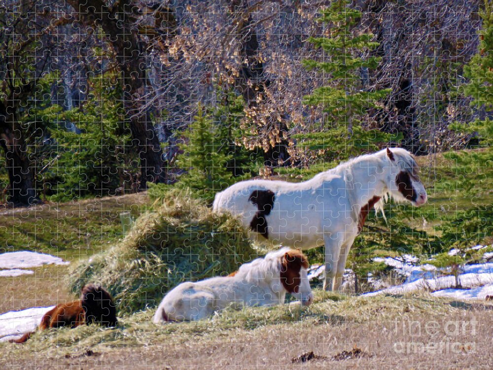 Canada Jigsaw Puzzle featuring the photograph There's Three by Mary Mikawoz