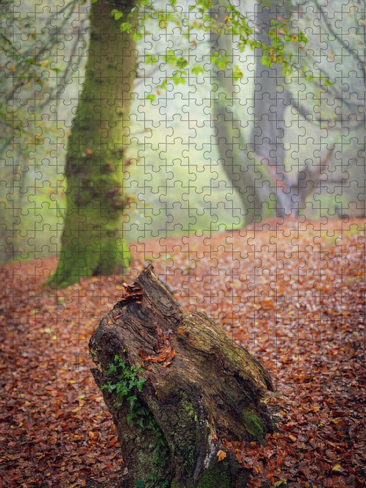 Autumn Jigsaw Puzzle featuring the photograph This Autumn goes all the way to 11 by Gavin Lewis