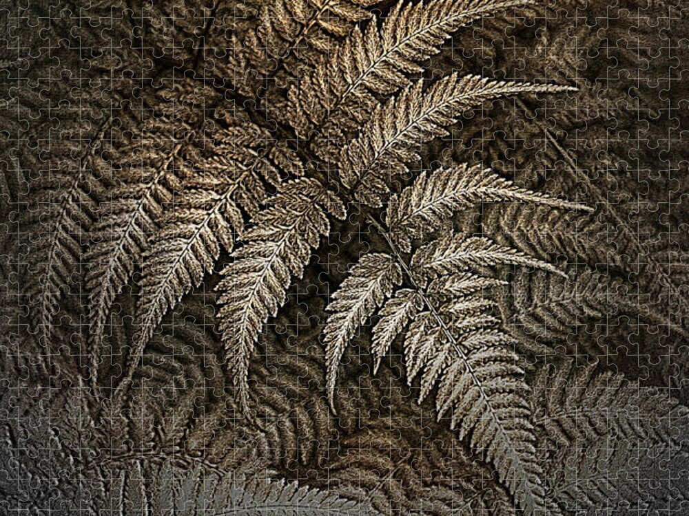 Ferns Jigsaw Puzzle featuring the photograph This Fern Is Toast by Rene Crystal