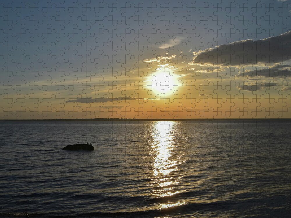Three Gulls On A Rock Jigsaw Puzzle featuring the photograph Three Gulls on a Rock by Christina McGoran