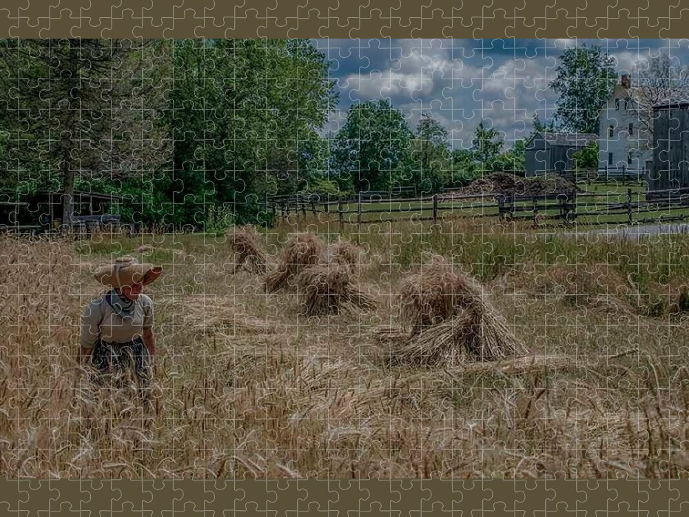 Old Fashioned Jigsaw Puzzle featuring the photograph Threshing the Wheat by Regina Muscarella