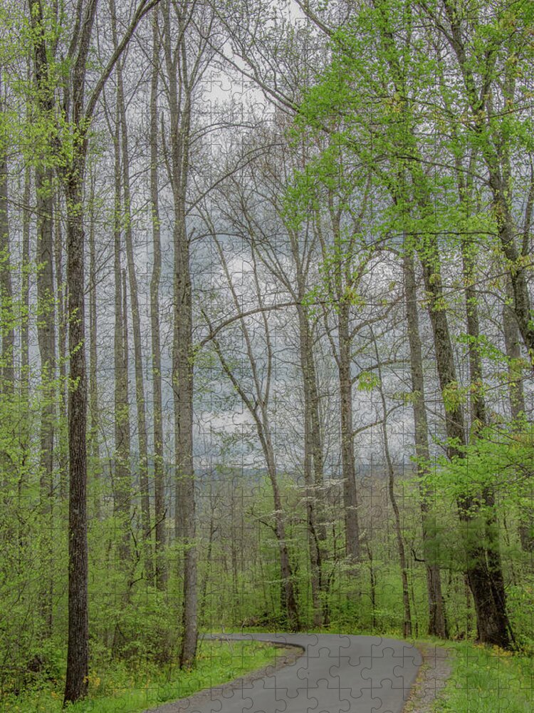 Great Smoky Mountains National Park Jigsaw Puzzle featuring the photograph Through the Woods in Springtime by Marcy Wielfaert
