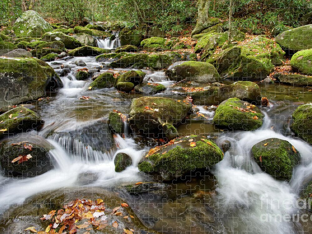 Smoky Mountains Jigsaw Puzzle featuring the photograph Thunderhead Prong 25 by Phil Perkins