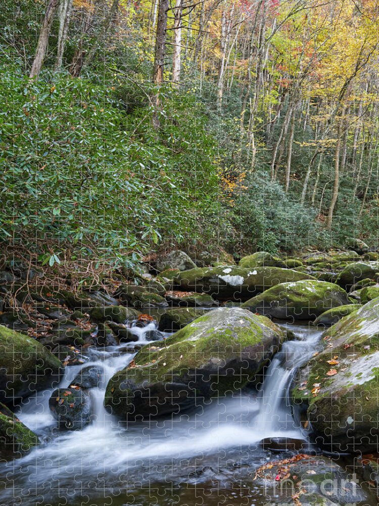 Smoky Mountains Jigsaw Puzzle featuring the photograph Thunderhead Prong 27 by Phil Perkins