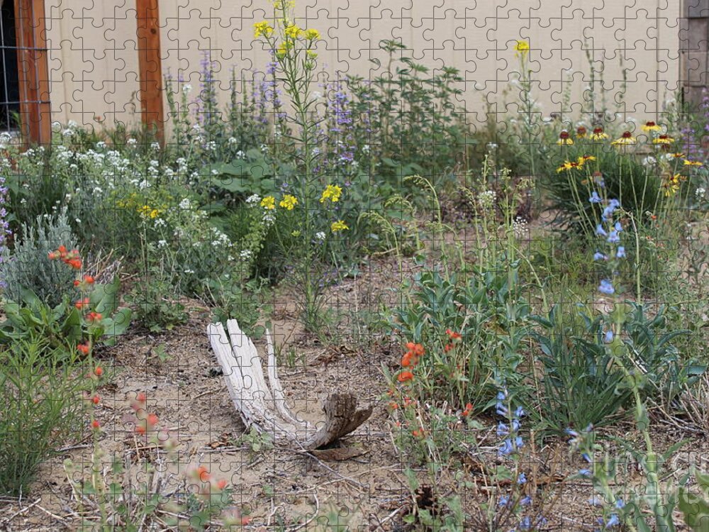 Native Wildflowers Jigsaw Puzzle featuring the photograph ThunderVisions Studio Flowerbed by Doug Miller