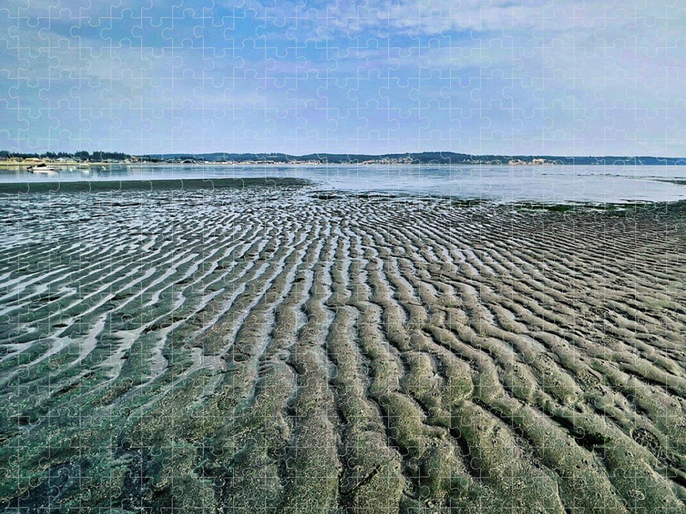 Beach Jigsaw Puzzle featuring the photograph Tide rivulets by Bradley Morris