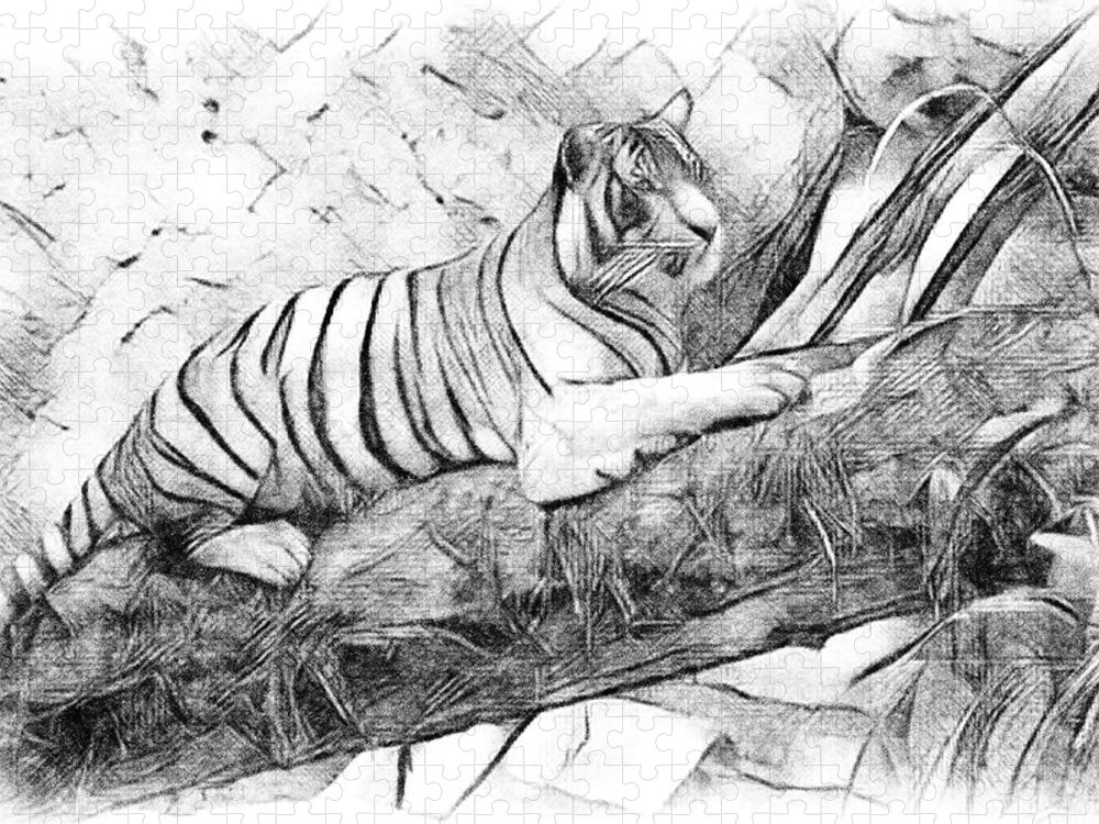 Drawing Jigsaw Puzzle featuring the photograph Tiger Posing by Debra Kewley