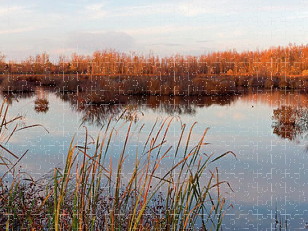 Preserve Jigsaw Puzzle featuring the photograph Tillman Preserve by Don Nieman