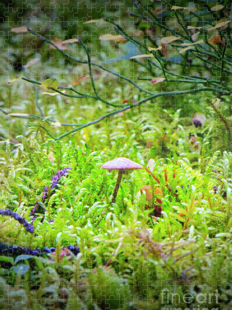 Mushroom Jigsaw Puzzle featuring the photograph Tiny Mushroom by Thomas Nay
