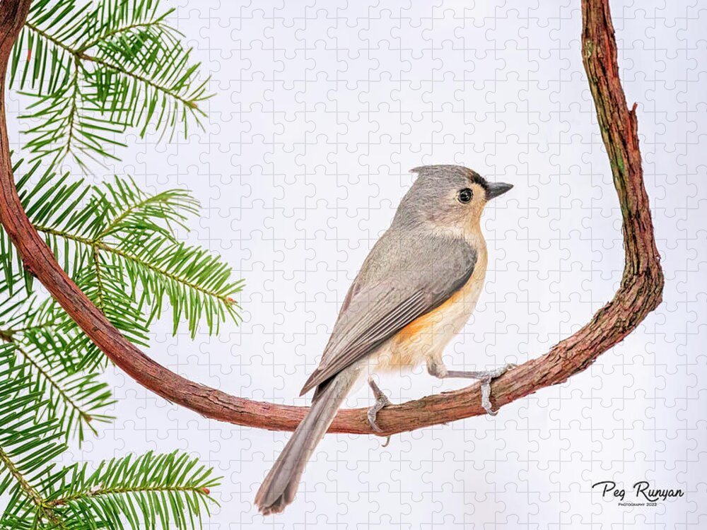 Bird Jigsaw Puzzle featuring the photograph Titmouse Tranquility by Peg Runyan
