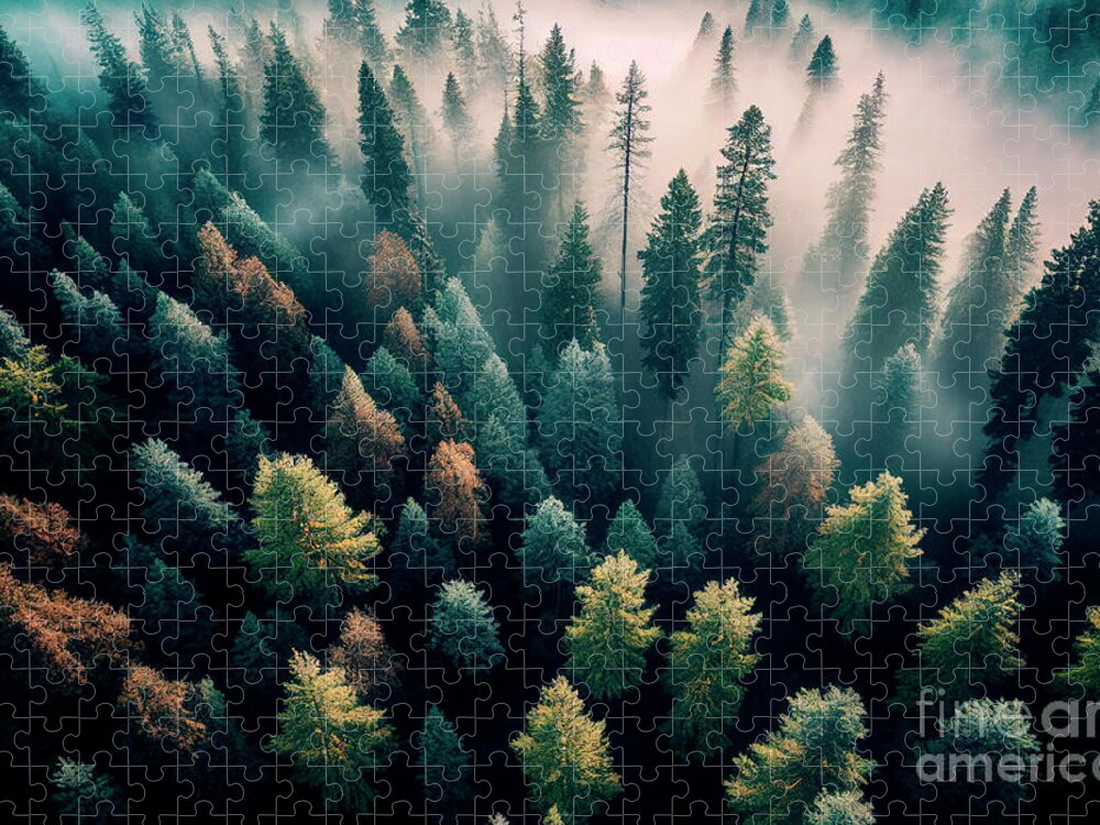 Pine Jigsaw Puzzle featuring the photograph Top view of dark green forest landscape by Jelena Jovanovic
