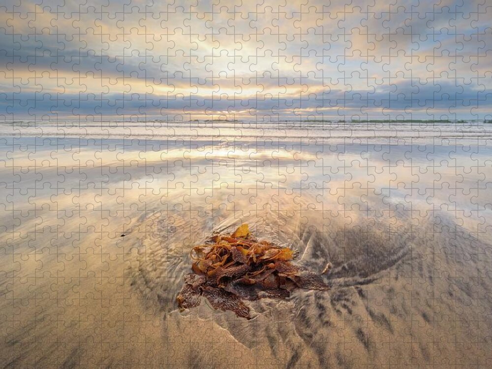 Sunset Jigsaw Puzzle featuring the photograph Torrey Pines - Christmas Day Sunset by Alexander Kunz