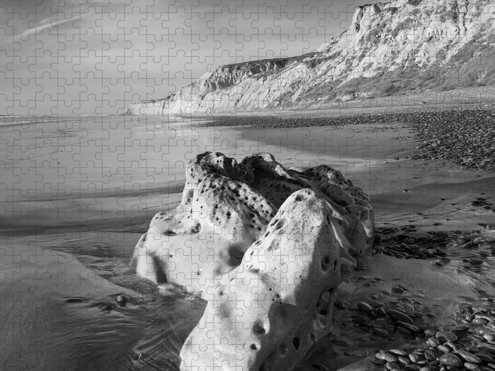 San Diego Jigsaw Puzzle featuring the photograph Torrey Pines Monochrome Beach by William Dunigan