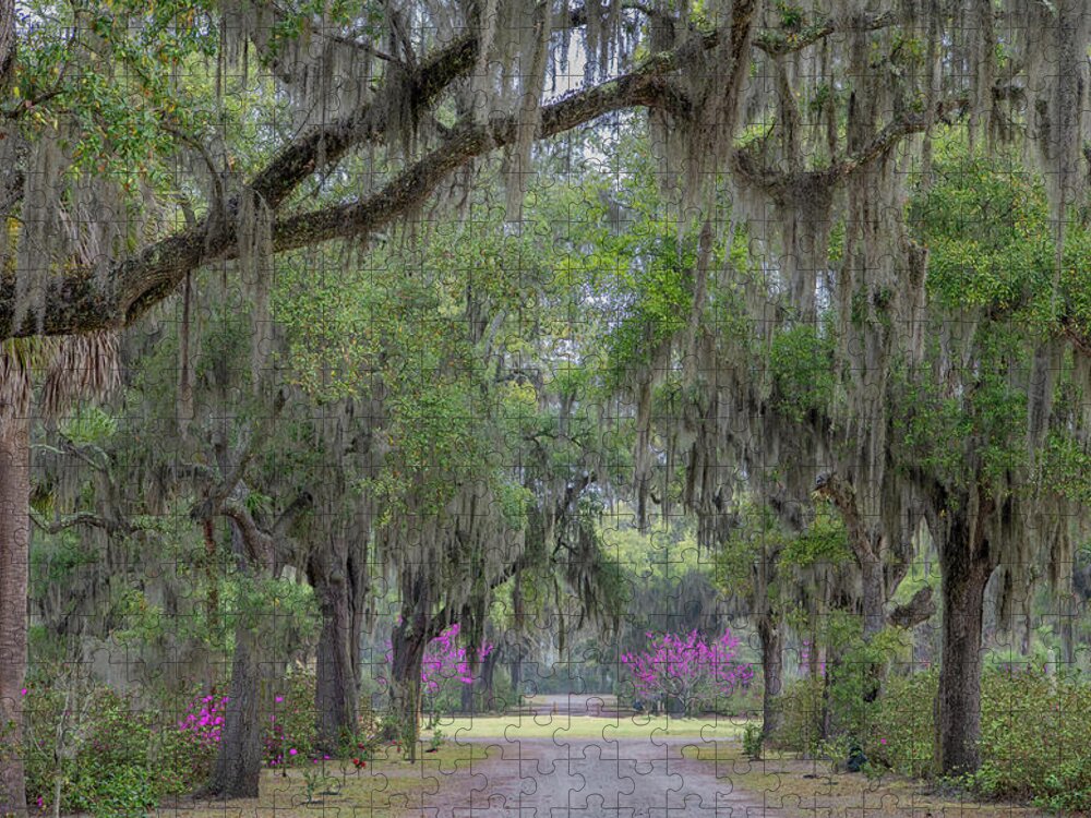 Georgia Jigsaw Puzzle featuring the photograph Touches of Spring Under the Live Oaks by Marcy Wielfaert