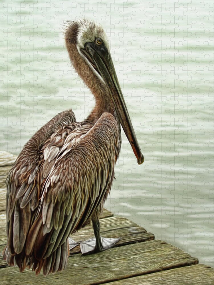 Pelican Jigsaw Puzzle featuring the photograph Tough Old Bird by Brad Barton