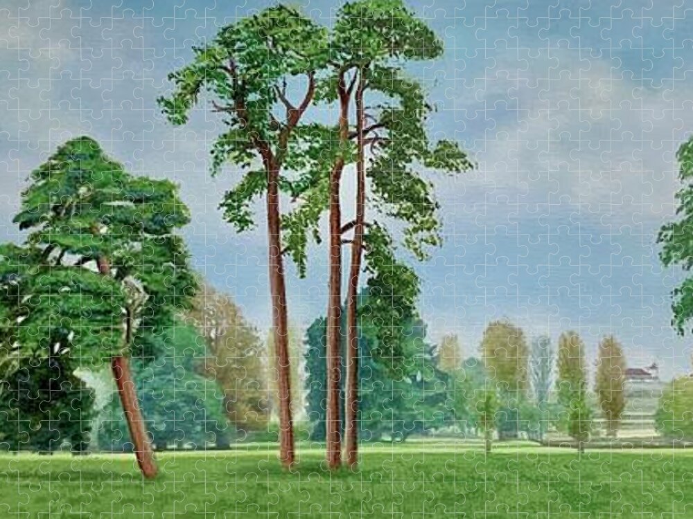Towcester Jigsaw Puzzle featuring the painting Harmony in Green, Towcester Watermeadows by Caroline Swan