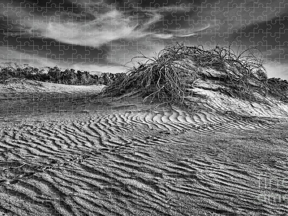 Samar Jigsaw Puzzle featuring the photograph Traces in the dunes by Arik Baltinester
