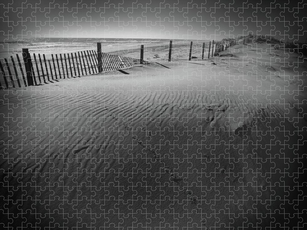 Sand Dune Jigsaw Puzzle featuring the photograph Tracks in Pea Island Sand Dune by James C Richardson
