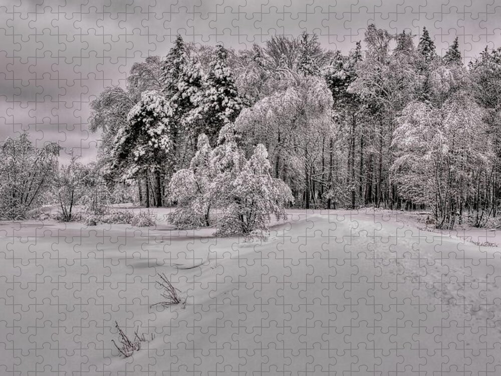 Winter Jigsaw Puzzle featuring the photograph Trail To A Winter Wonderland by Dale Kauzlaric