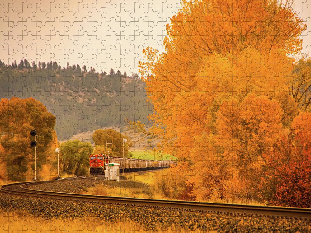 Autumn Jigsaw Puzzle featuring the photograph Train in Autumn by Jeff Swan