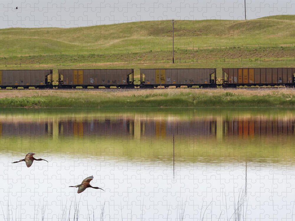 Nebraska Jigsaw Puzzle featuring the photograph Train Kept a Rolling - Sandhills Journey by Susan Rissi Tregoning