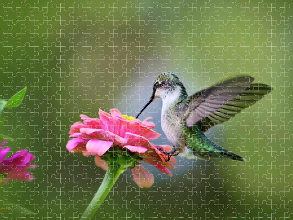 Hummingbird Jigsaw Puzzle featuring the photograph Tranquil Joy by Christina Rollo