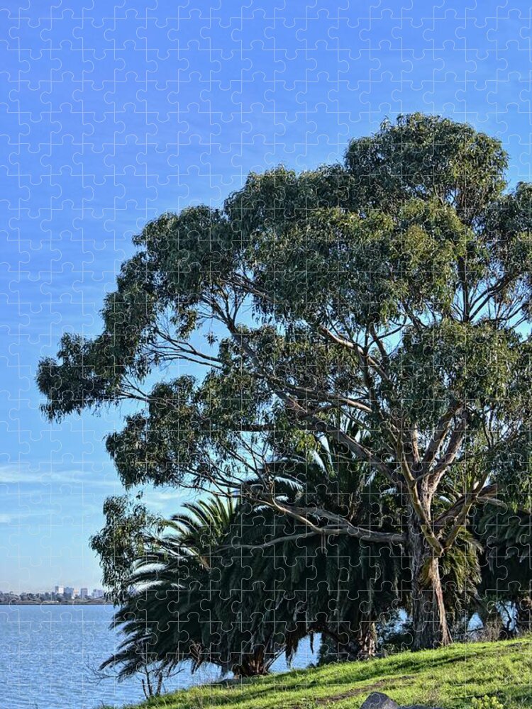 Natural Landscape Jigsaw Puzzle featuring the photograph Tree and Bay by Maggy Marsh