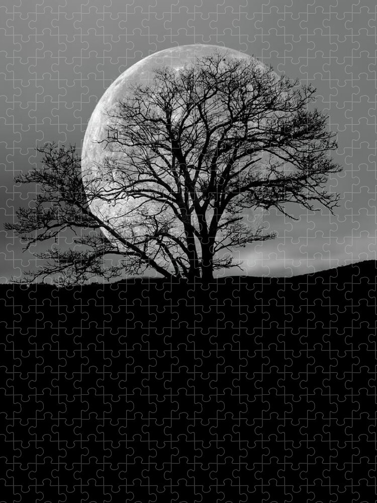 Moon Jigsaw Puzzle featuring the photograph Tree and Moon by Bob Orsillo