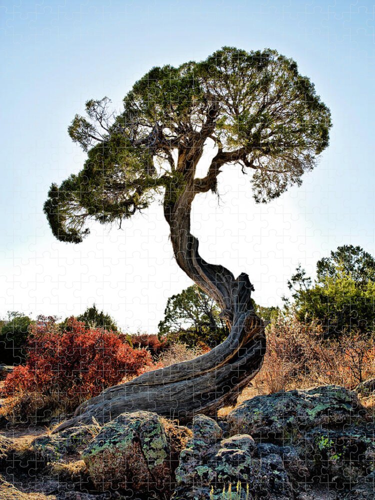 Tree Jigsaw Puzzle featuring the photograph Tree At Black Canyon by Robert Woodward