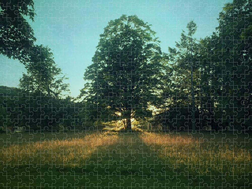 Sundown Jigsaw Puzzle featuring the photograph Tree at Sundown by Carol Whaley Addassi