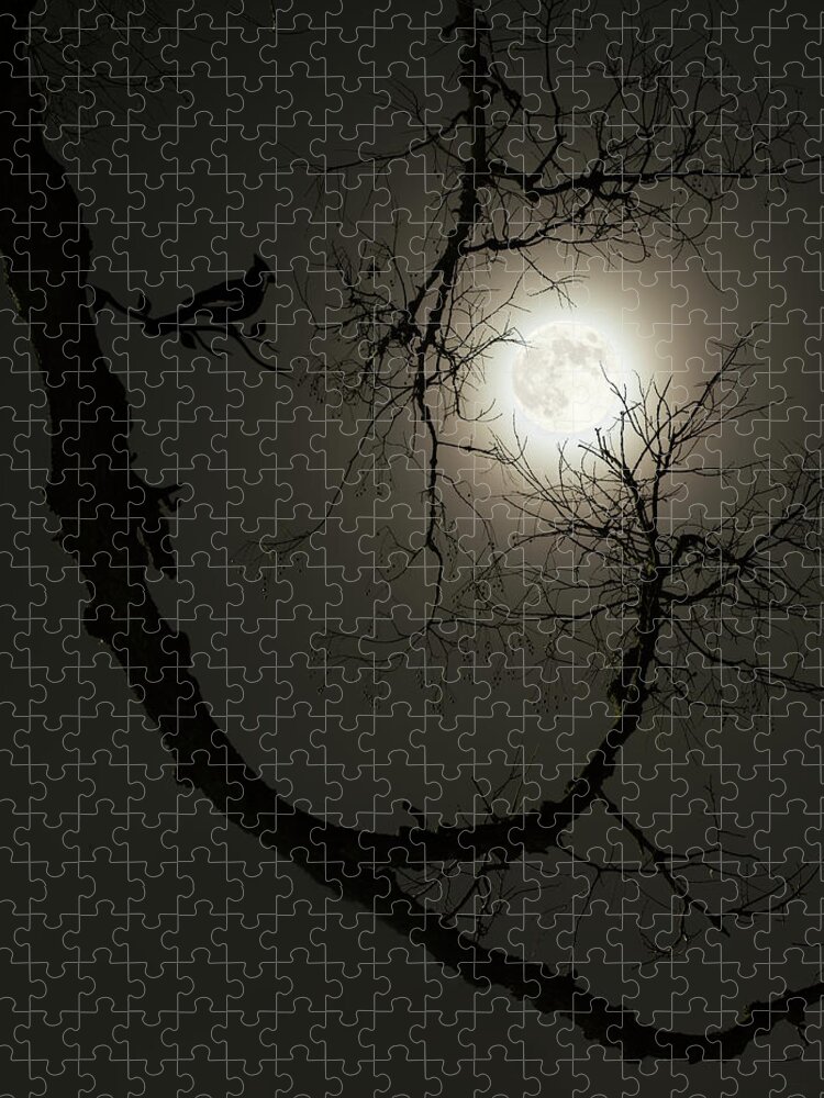 Wolf Moon Jigsaw Puzzle featuring the photograph Tree Captures Wolf as Cardinal Looks On - Wolf Moon with hackberry tree - Vertical crop by Peter Herman