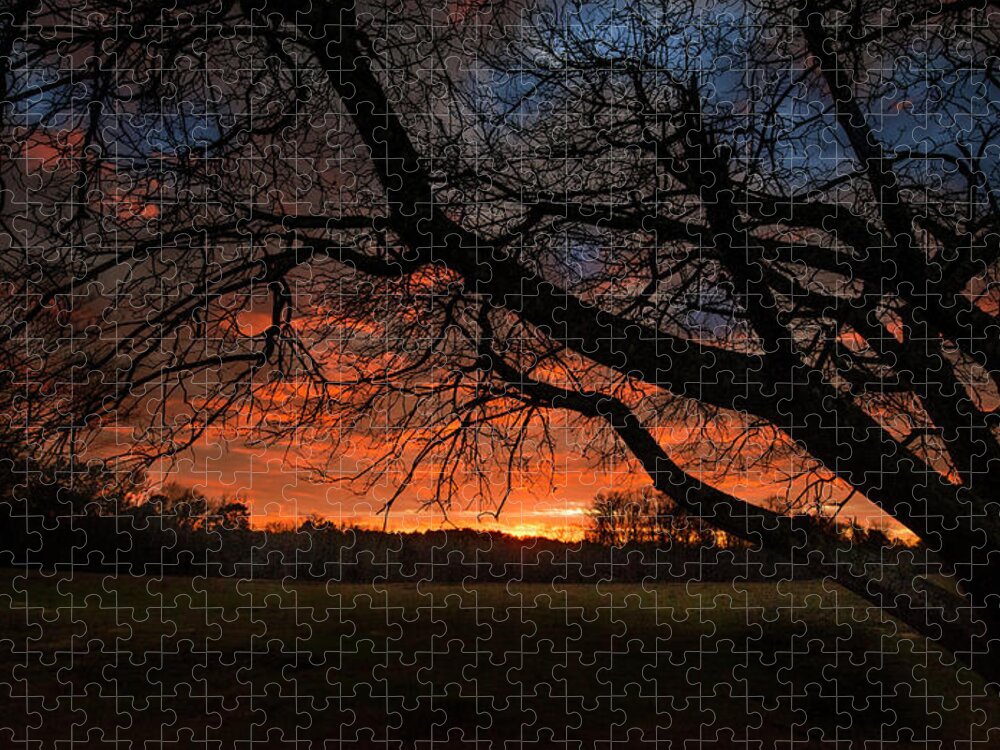 Sunset Jigsaw Puzzle featuring the photograph Tree Framed Sunset by Phil And Karen Rispin