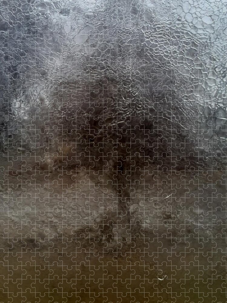 Ice Jigsaw Puzzle featuring the photograph Tree in Ice Storm 3A by Kevin Eatinger