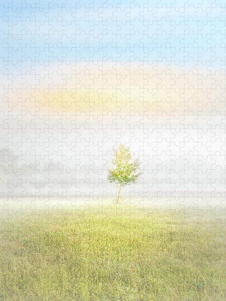 Tree Jigsaw Puzzle featuring the photograph Tree In Isolation by Jordan Hill