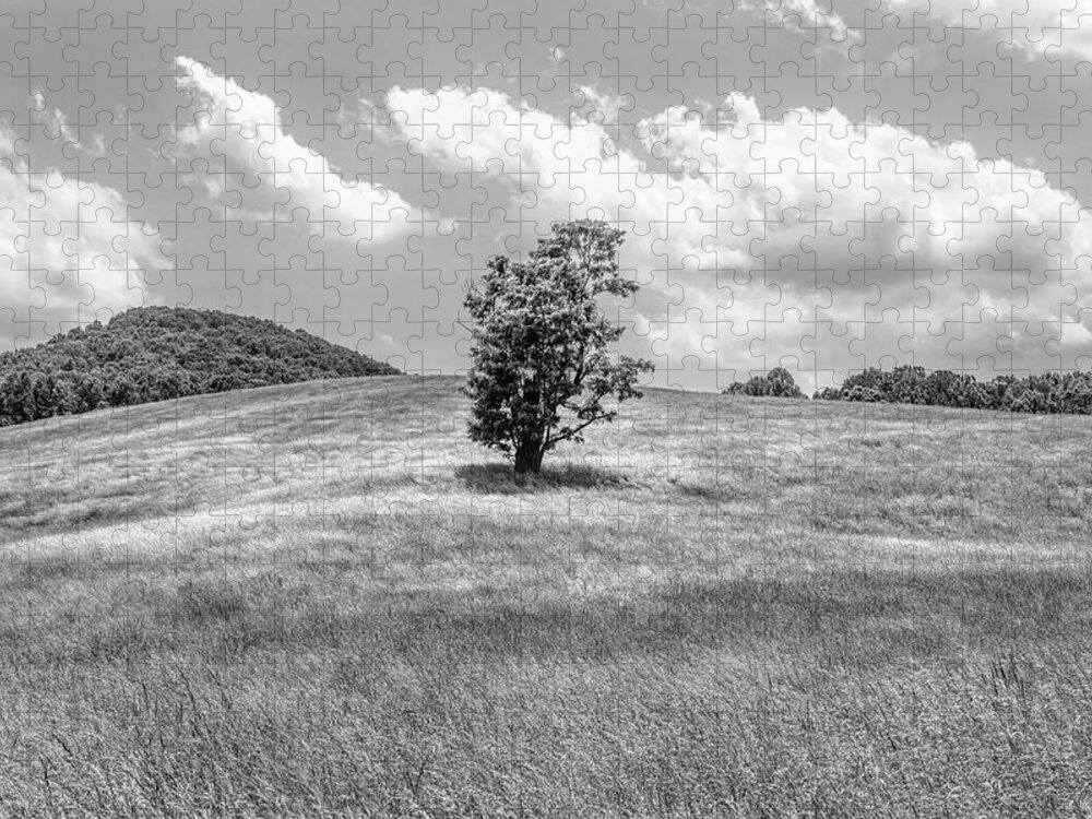 Carolina Jigsaw Puzzle featuring the photograph Tree in the Middle Alone Black and White by Debra and Dave Vanderlaan