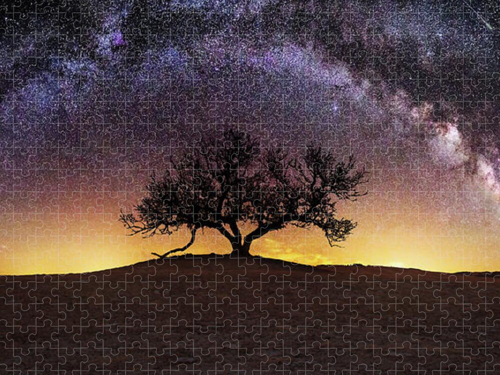 #faatoppicks Jigsaw Puzzle featuring the photograph Tree of Wisdom by Aaron J Groen