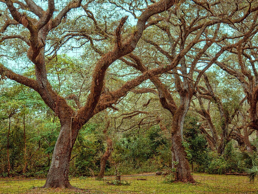 Tree Top Park Jigsaw Puzzle featuring the photograph Trees a Crowd by Phil Marty
