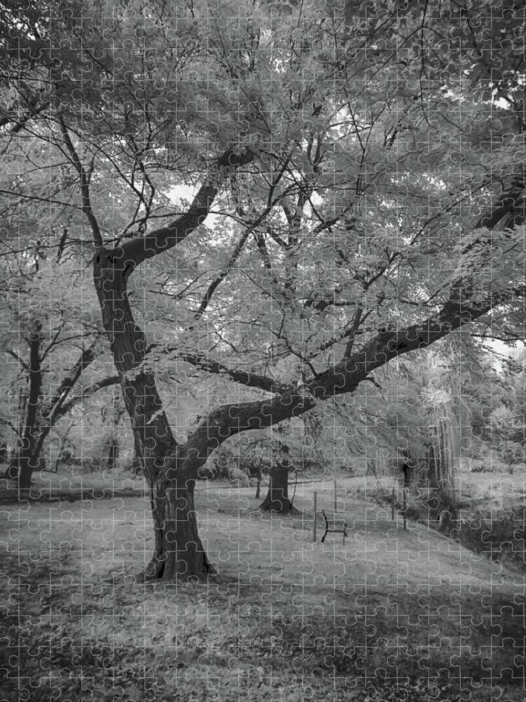 Infrared Jigsaw Puzzle featuring the photograph Trees at the park in black and white by Alan Goldberg
