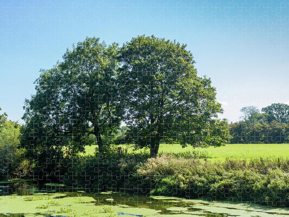 River Jigsaw Puzzle featuring the photograph Trees By The River Stour Blandford by Tanya C Smith