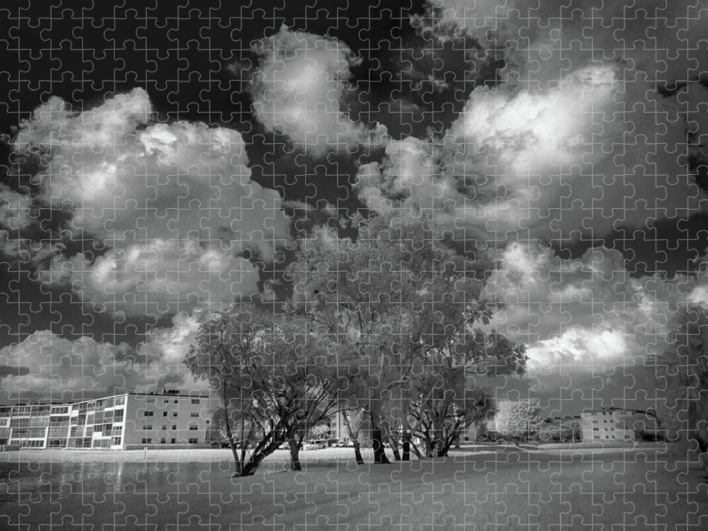 Trees Jigsaw Puzzle featuring the photograph Trees, Clouds and Condos by Alan Goldberg
