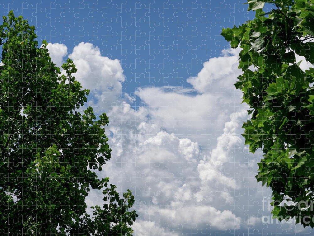 Green Tree Leaves Jigsaw Puzzle featuring the photograph Trees Clouds Sky by Phil Perkins