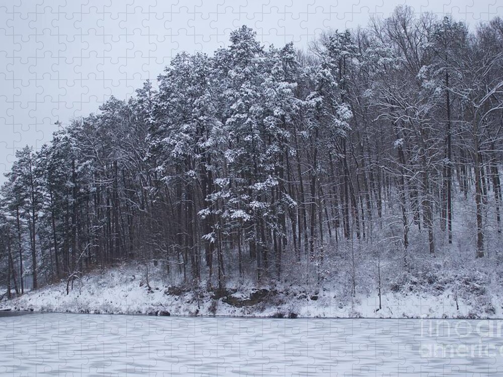 Woods Jigsaw Puzzle featuring the photograph Trees heading towards the water by Yvonne M Smith