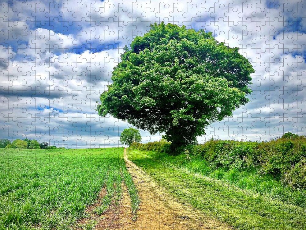 Trees Jigsaw Puzzle featuring the photograph Trees in May by Gordon James