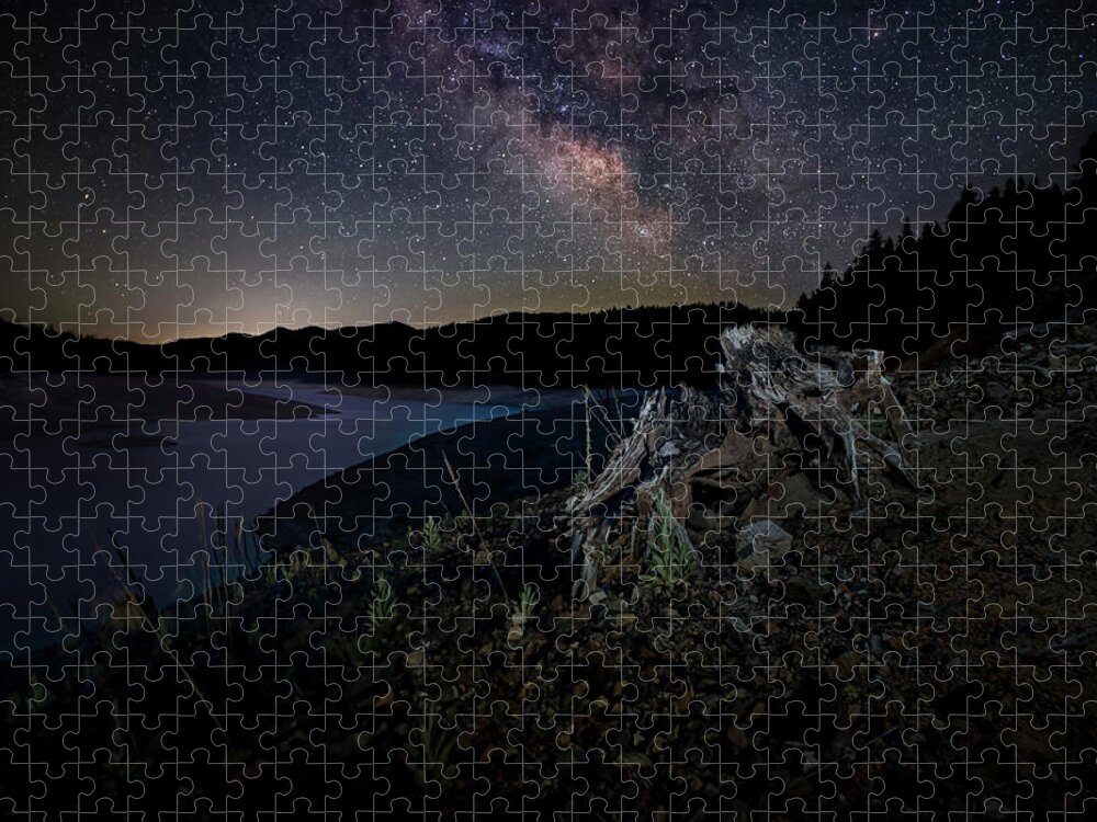 Lake Jigsaw Puzzle featuring the photograph Trinity Stump and Stars by Mike Lee