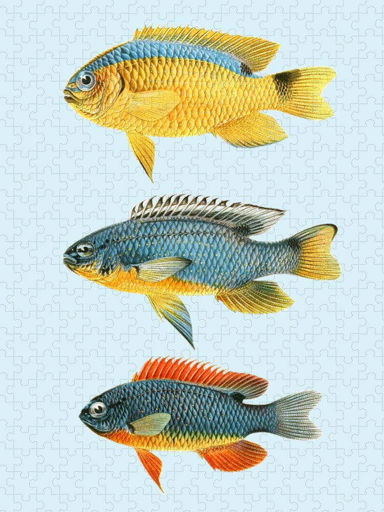 Tropical fish chart Jigsaw Puzzle by Madame Memento - Pixels Puzzles
