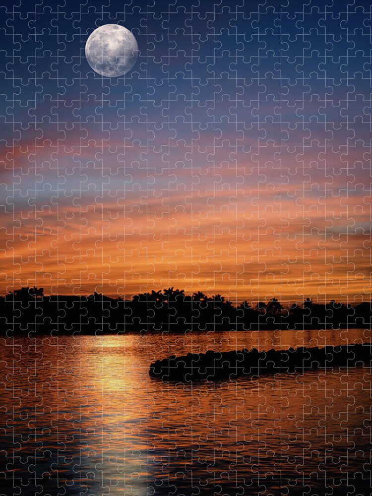 Full Moon Jigsaw Puzzle featuring the photograph Tropical Moon by Laura Fasulo
